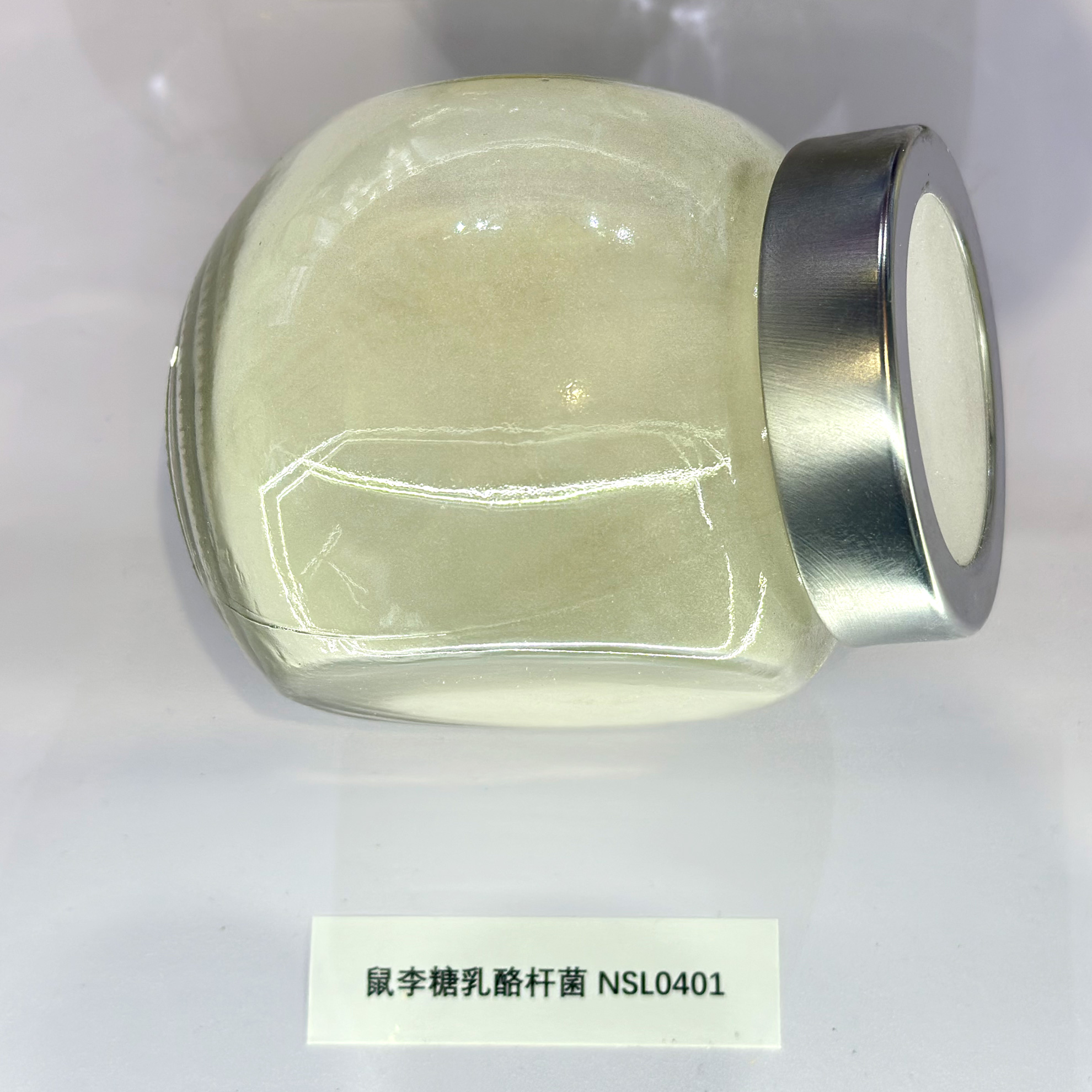 青岛诺森-鼠李糖乳杆菌