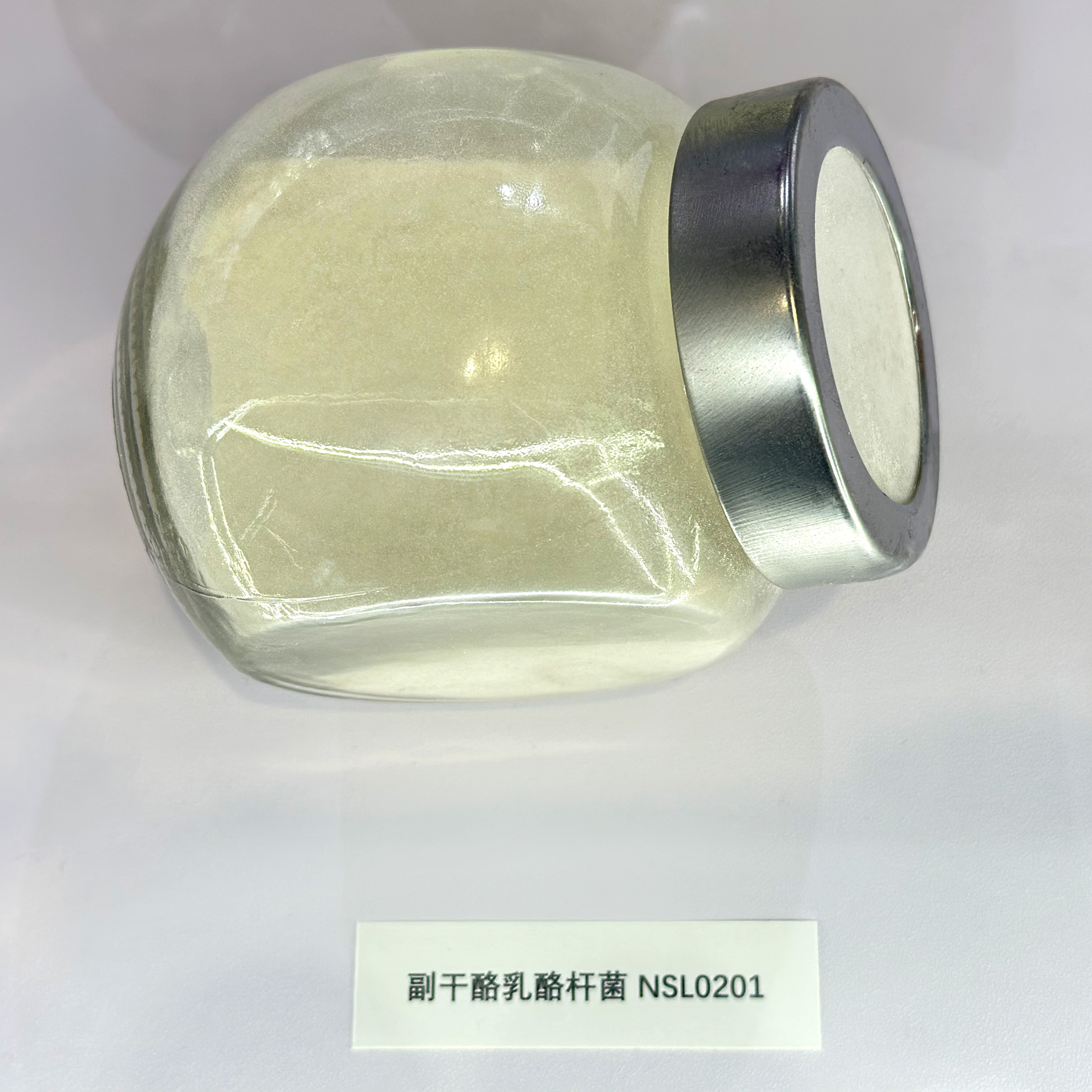 副干酪乳杆菌NSL0201