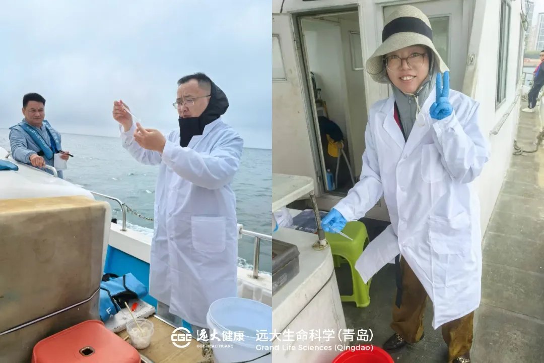 沉浸式体验海洋菌株采集与分离