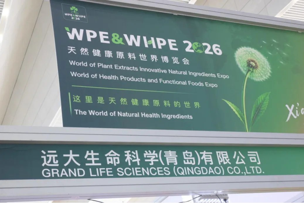 远大青岛在西安WPE & WHPE 2026展会的展位 远大青岛在西安WPE & WHPE 2026展会的展位