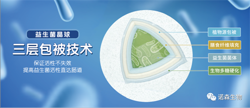 青岛诺森生物 青岛诺森生物